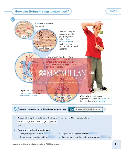 Macmillan Natural and Social Science. Level 5. Pupil's Book - фото 8