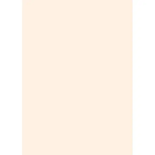 Бумага для дизайна Folia Tintedpaper А4 (21x29.7см) №43 телесная 130г/м2 без текстуры