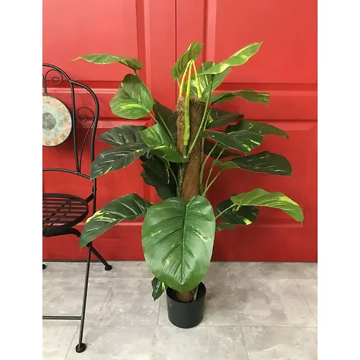 Эпипремнум Hvoya на опоре 100 см - фото 4