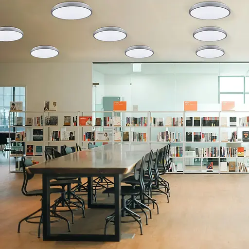 RING матовый 80W 480*60мм 3000К-6500К с ДК серебряный - фото 9