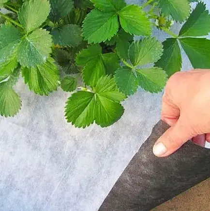 Агроволокно Shadow 50 г/м², 1.07х50 м, чорно-біле (АВЧБР00011) - фото 7