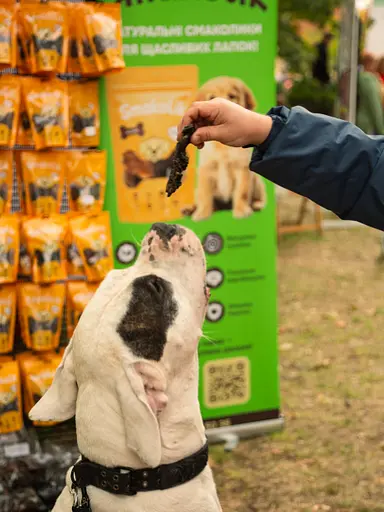 Ласощі для собак натуральні сушені. Печінка яловича, 150 г - фото 6