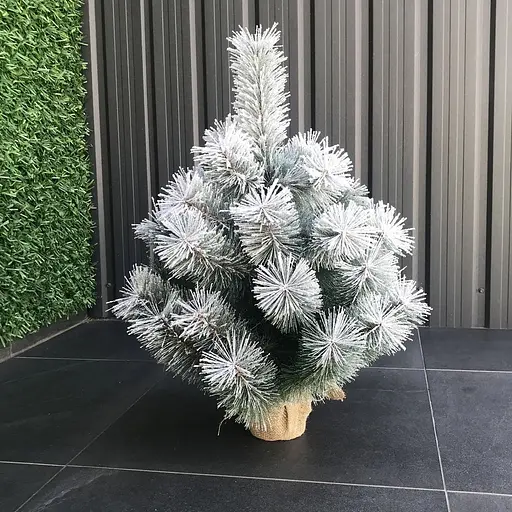 Сосна Hvoya Lux 70 см в мешковине заснеженная - фото 3