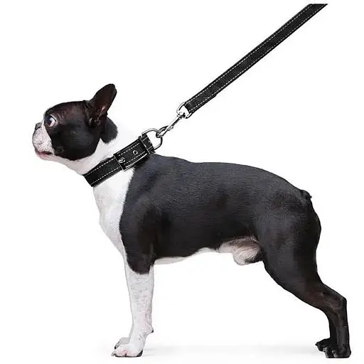 Повідець Dog Extreme з нейлону подвійний (ширина 20мм, довжина 122см), чорний - фото 5