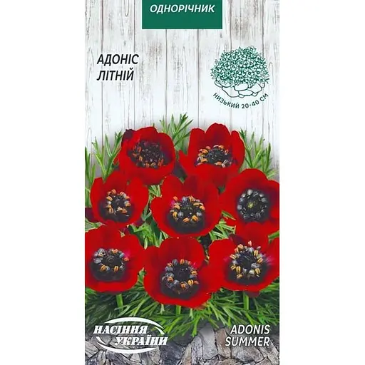 Семена Адонис летний Насіння України 1 г (766400)