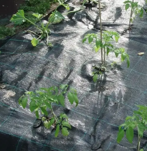 Агротканина Shadow Delux 120 г/м² 1.1 x 50 м (АТЧД00015) - фото 2