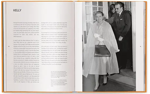 The Ultimate Guide to Hermès Bags - фото 4