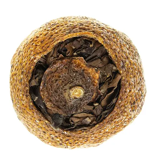 Шоу Мей в мандарине - 1 шт. - фото 4