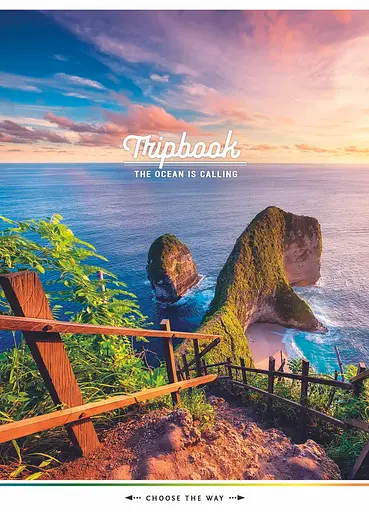 Комплект 4 шт общих тетрадей. Тетрадь Школярик А5 80 л. в линию 5073 4823088219326 - фото 4