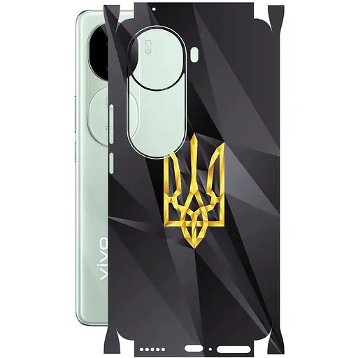 Захисна плівка StatusSKIN для Vivo V40e 5G Корпус Вініл Герб 1
