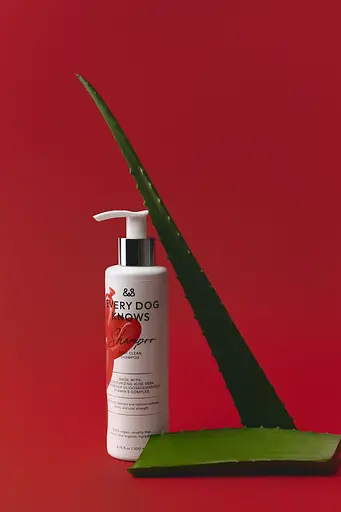 Шампунь для глибокого очищення 500 мл, EVERY DOG KNOWS
 - фото 2
