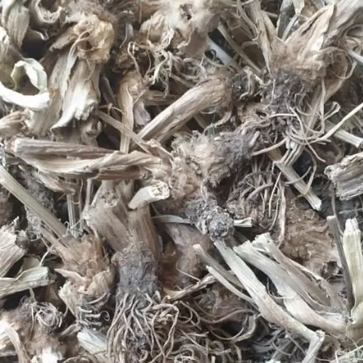 100 г подорожник коріння сушене - свіжий урожай