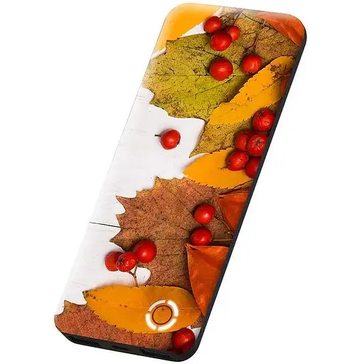 Портативний акумулятор POWERPack Colors of Nature 10000 мАг - фото 3