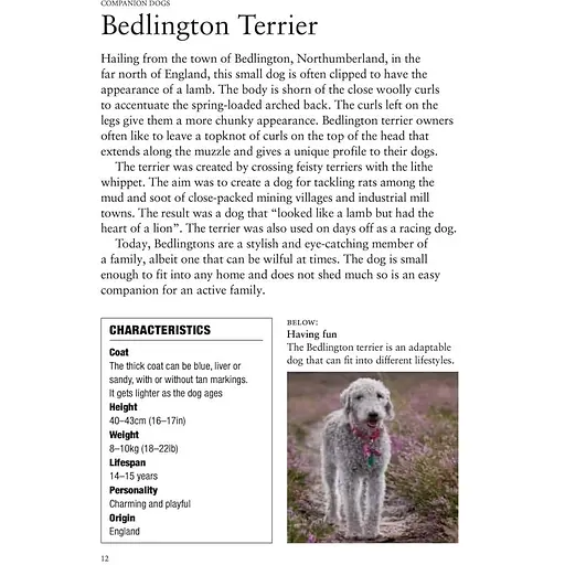 Dog Breeds: Characteristics, Breeds, Care, Origins - Джексон Том - фото 5