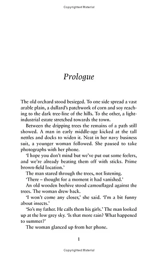 The Bees - фото 2