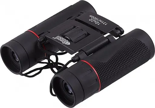 Бинокль Bassell 10x22 с чехлом Черный