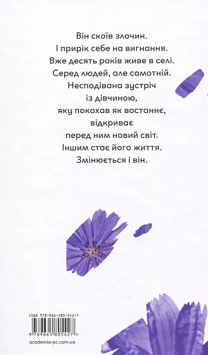 Квіти цикорію - фото 2