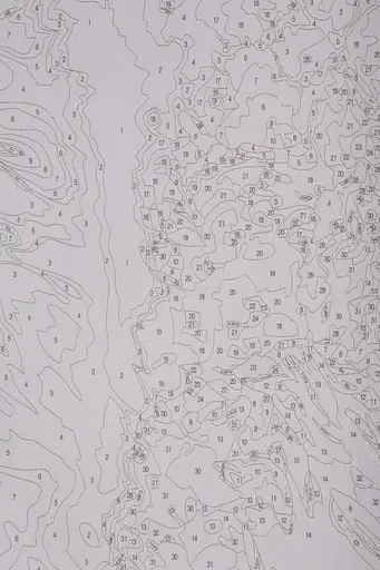 Набор для росписи "Шпиц" 40*50 см, IDEA2-GX47336, ТМ "99IDEAS" - фото 7