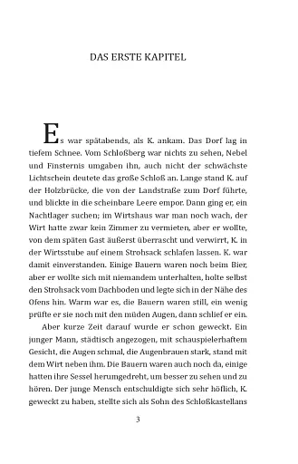 Das Schloß - фото 4