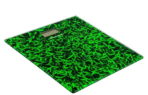 Напольные электронные весы бытовые Grunhelm BES-GRA20 стеклянные весы Весенняя зелень 180 кг - фото 2