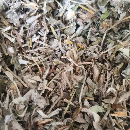 100 г ястребинка волосистая трава сушеная - свежий урожай