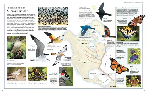 Ілюстрований Атлас. Світ тварин - фото 4