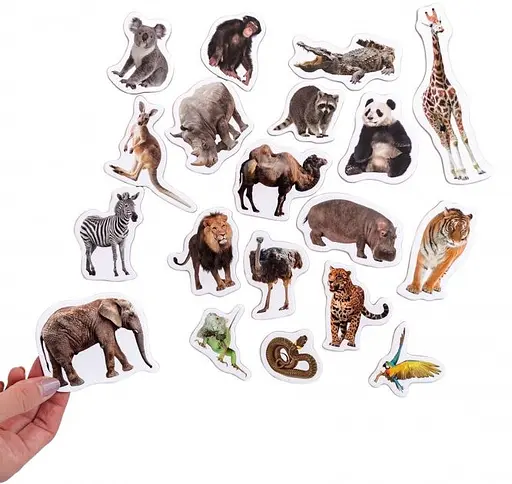 Набір магнітів Зоо 19шт ML4031-02 EN - фото 3