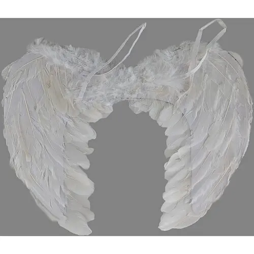 Крылья ангела - фото 2