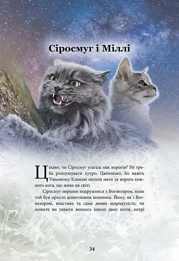 Коти - вояки. Герої Кланів. Хроніки Зореклану - Гантер Ерін - фото 7