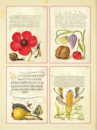 The Esoterica Sticker Book. From Astrology to Tarot - фото 6