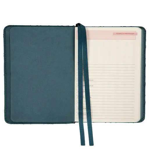 Дневник А6 Leo Planner недатированный Vibe жесткий темно-бирюзовый 320 страниц (252709) - фото 6