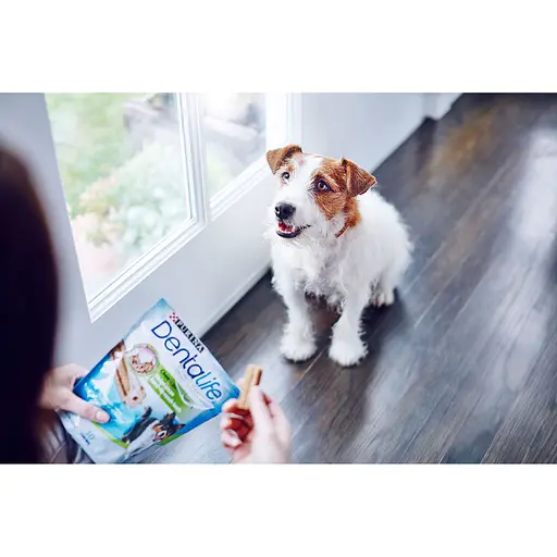 Подарок. Лакомство для собак малых пород DentaLife для здоровья зубов и десен 115 г - фото 5