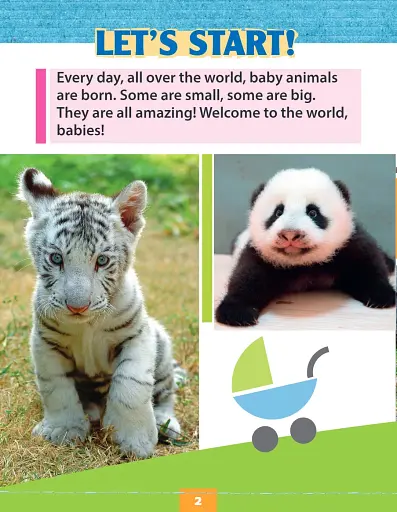 Baby Animals - фото 2