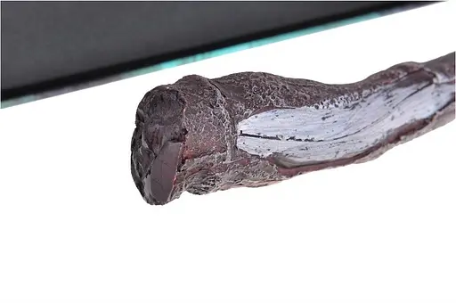 Іграшка GKever Чарівна паличка Беллатриси Лестрейндж без коробки 33 см 6-115-1 - фото 4