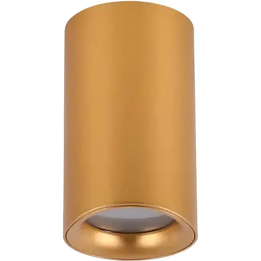 Точковий світильник Azzardo AZ5239 Eiger GU10 1x40W IP54 золотий - фото 1