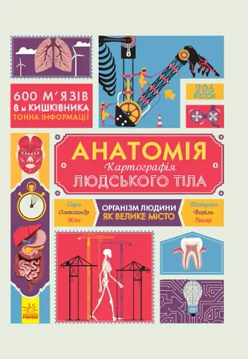 Крутезна інфографіка : Анатомія