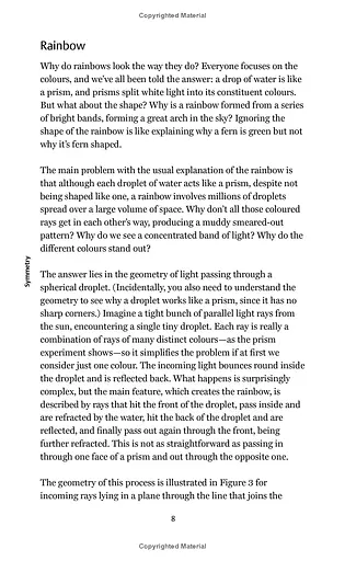 Symmetry. A Very Short Introduction - фото 9