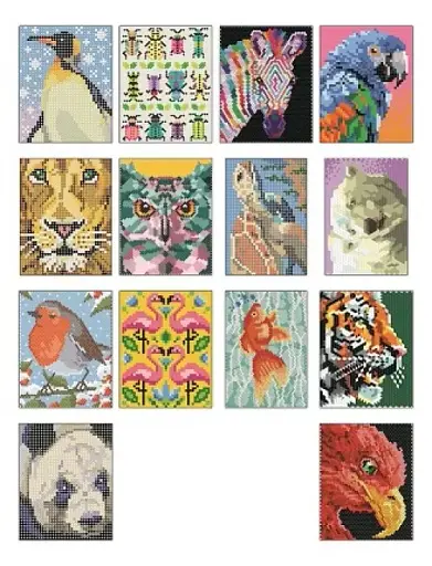 Кольоровий квест. ЗооДива - фото 5