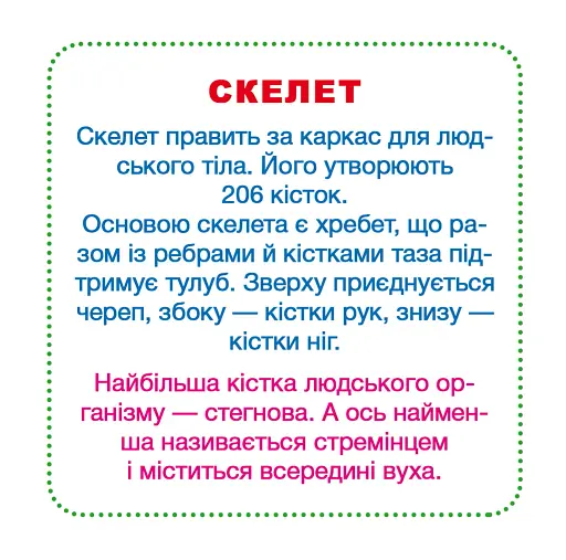 Розумні картки. Моє тіло. 30 карток - фото 3