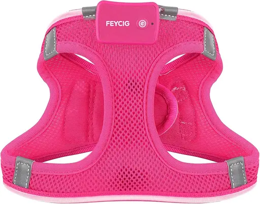 Освітлена шлейка для собак, світлодіодна шлейка, що перезаряджається, жилет з підсвічуванням для прогулянок вночі