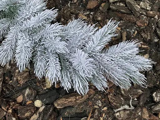 Гірлянда хвойна Hvoya Сосна лита засніжена 2 м - фото 4