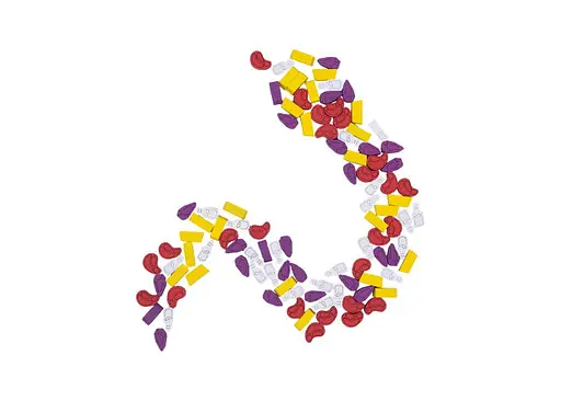 Аксесуар Tower Rex Токени ресурсів для гри Змієвир Wyrmspan укр. (8107) - фото 3