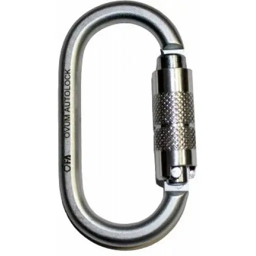 Карабін First Ascent Ovum Autolock Keylock (1060-FA 8008)