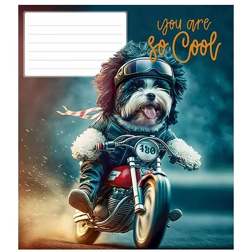 Зошит учнівський You are so cool Школярик 012-3241K-2 в клітинку 12 аркушів - фото 1