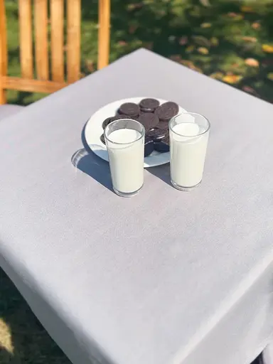 Водоотталкивающая cкатерть Темно-серый однотон 340х140 см (+ 7 салфеток 30х40) - фото 3