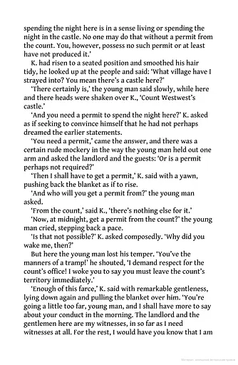 The Castle - фото 3