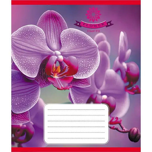 Зошит учнівський "Орхідея" Leader 036-570137K-3 в клітинку, 36 аркушів - фото 1