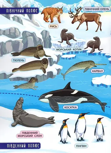 Енциклопедія з наліпками. Тварини світу - фото 5