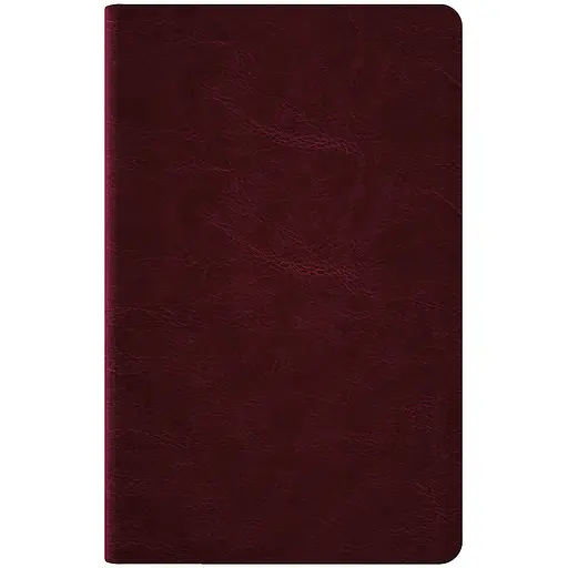 Щотижневик Axent 2026 Partner City Soft 125х195 см коричневий (8521-26-05-A) - фото 3