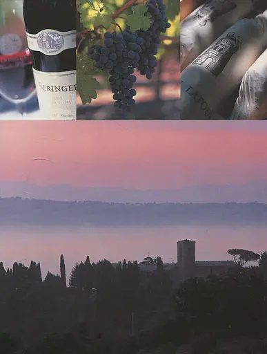 Вино Курс Ендрю Джеффорда - фото 6